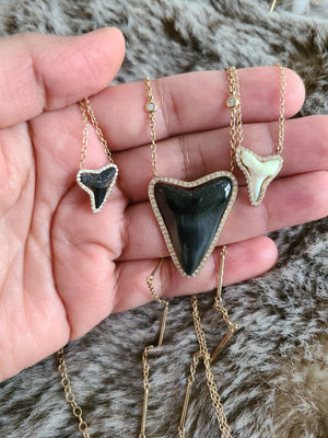 SHARK TOOTH AMULET