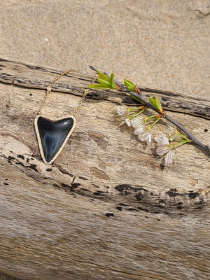 SHARK TOOTH AMULET